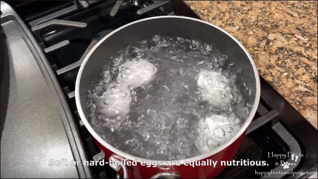 eggs boiling for ramen