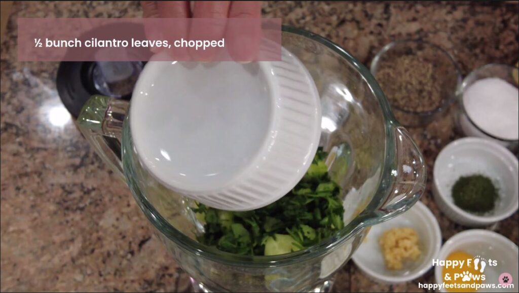 blending ingredients for Cucumber Aioli sauce