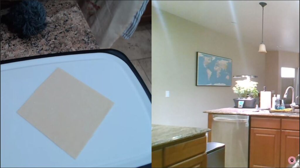 Lumpia wrapper on cutting board for filipino lumpia recipe