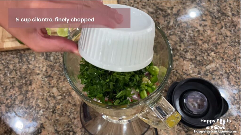 adding ingredients to blender for mango salsa